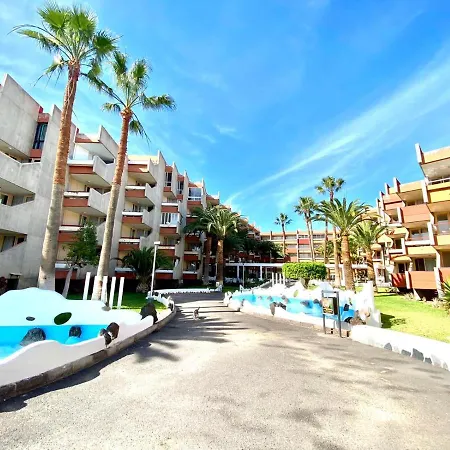 Apartamento With Pool,freewifi In *